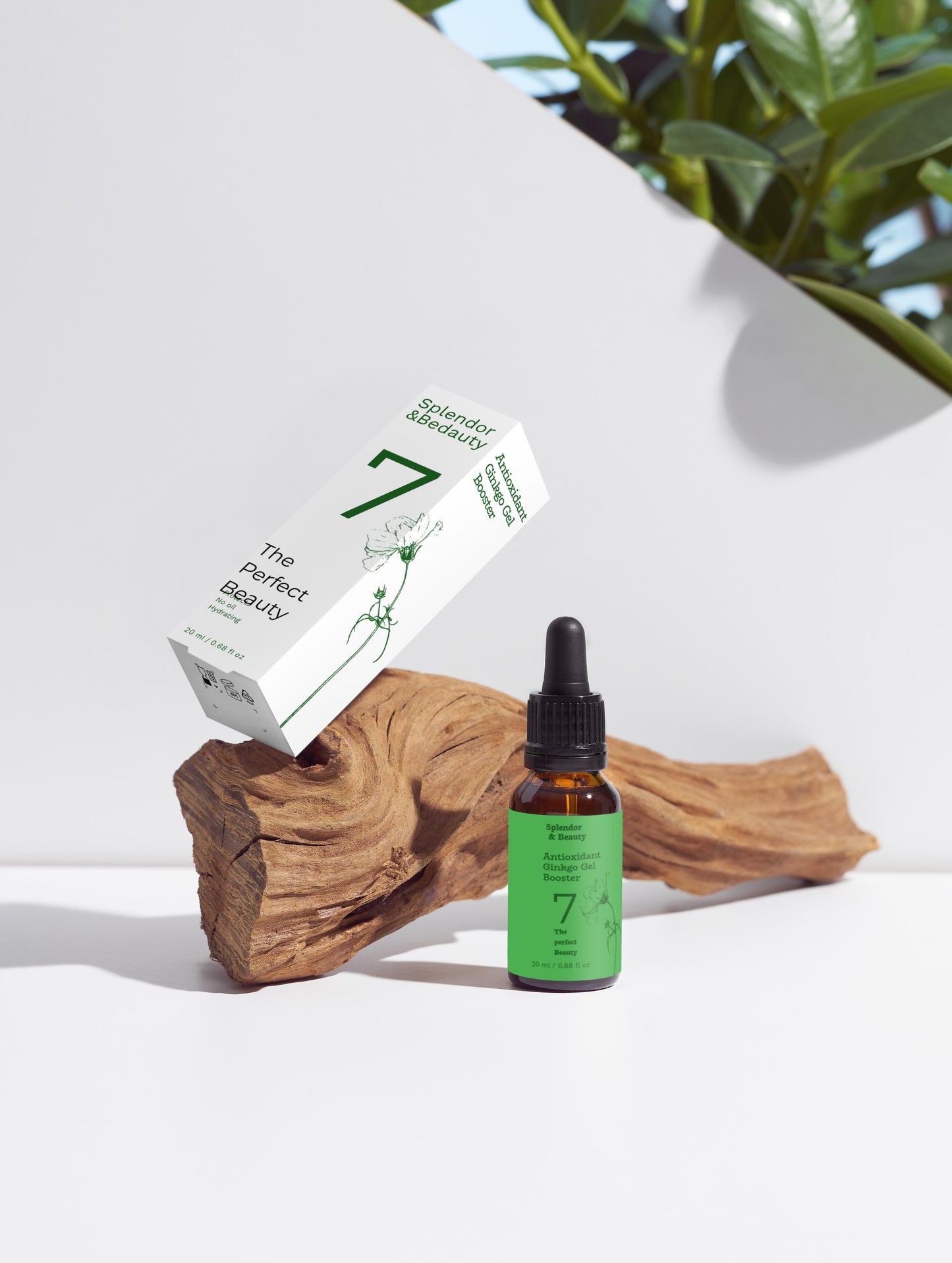 Antioxidant Ginkgo Gel Booster